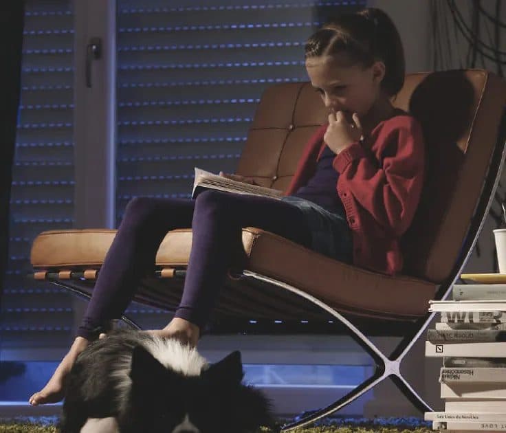 Femme lisant au calme dans son salon le soir